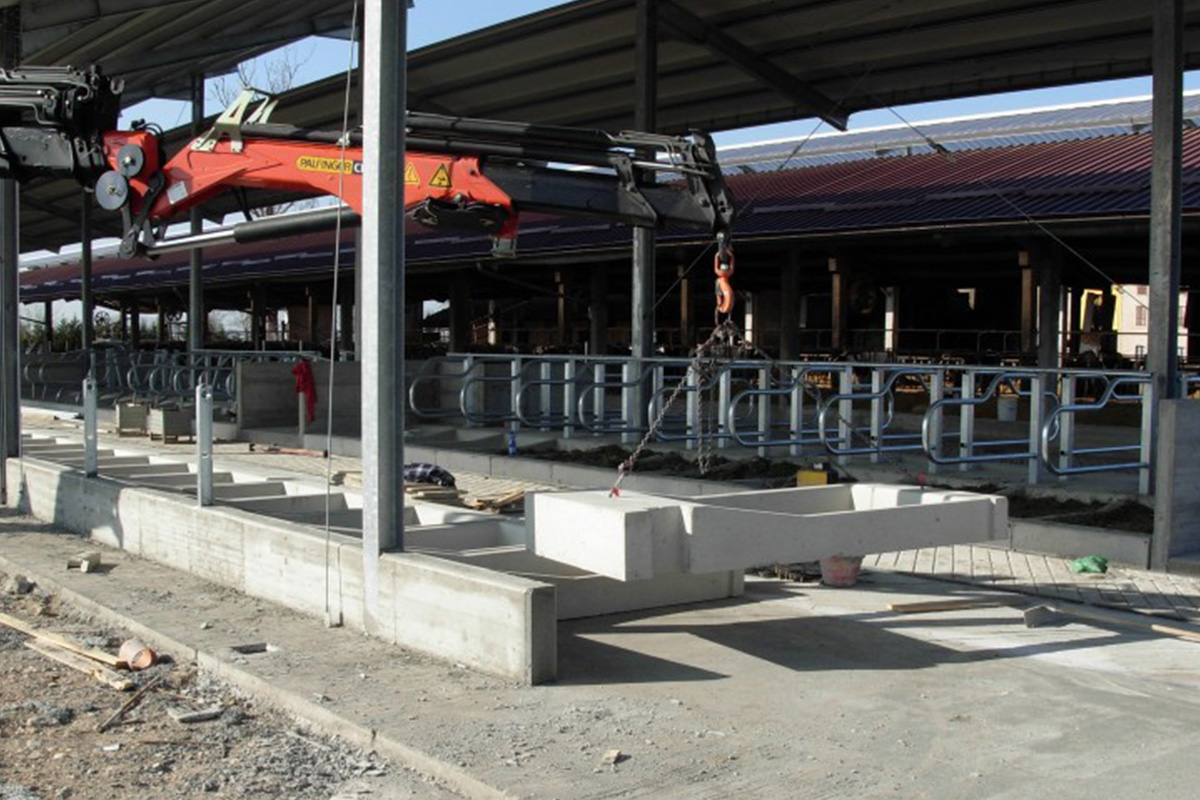 cuccette-prefabbricate-per-bovini-11