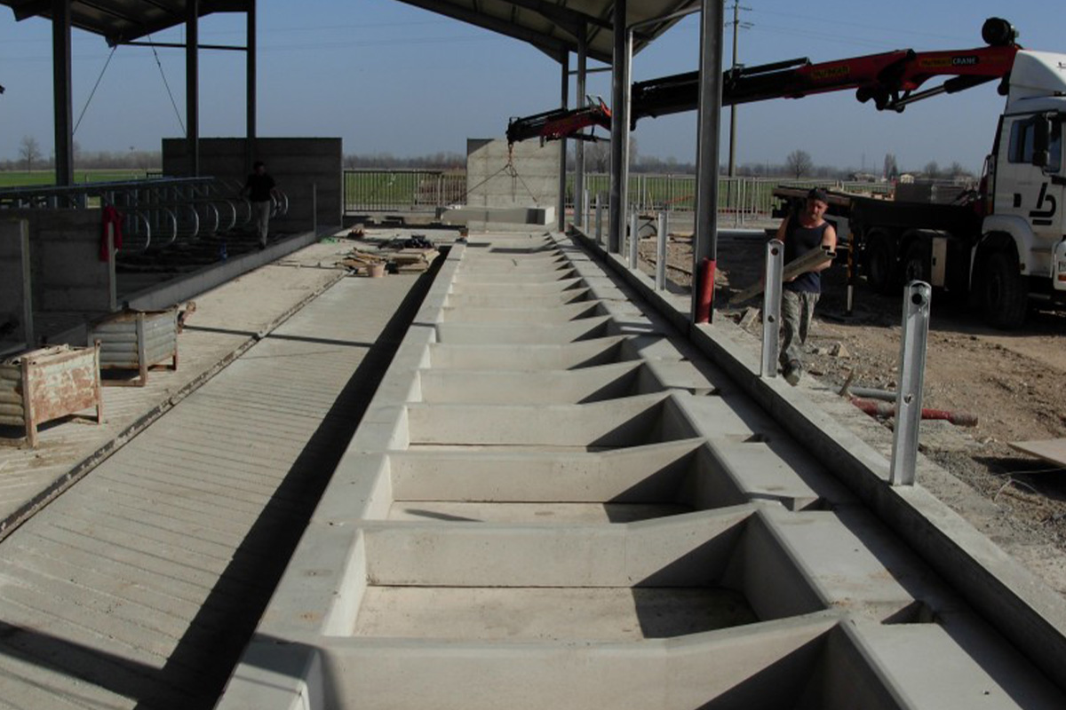 cuccette-prefabbricate-per-bovini-9